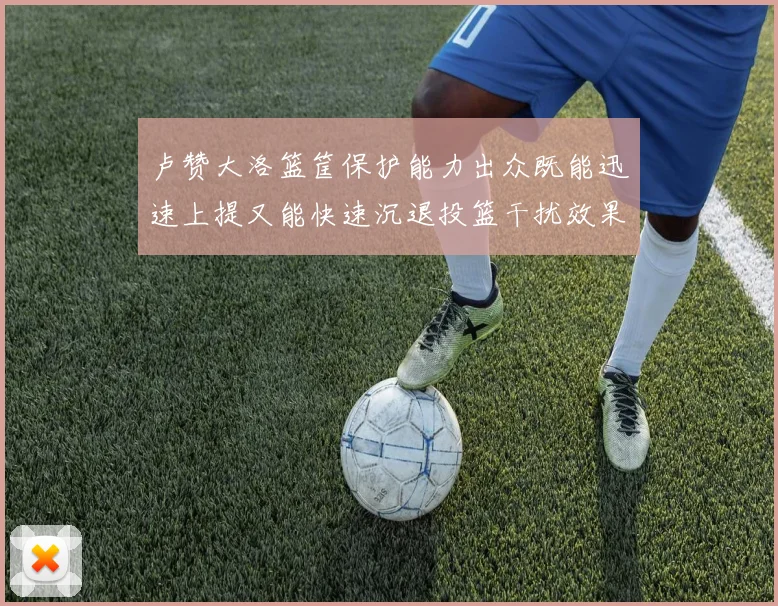 卢赞大洛篮筐保护能力出众既能迅速上提又能快速沉退投篮干扰效果显著