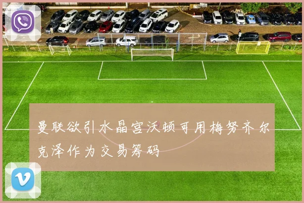曼联欲引水晶宫沃顿可用梅努齐尔克泽作为交易筹码