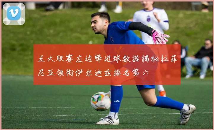 五大联赛左边锋进球数据揭秘拉菲尼亚领衔伊尔迪兹排名第六
