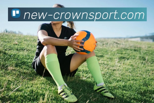 皇冠体育平台生态图